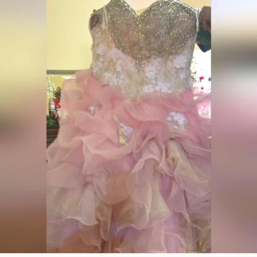 Pink and Gold Ruffled Ball Gown - Picture 2 of 2